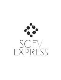 Formação SCVF Express